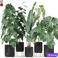 Plants collection 584
