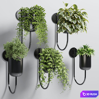 Collection Indoor plant 135 vase metal stand wall plant
