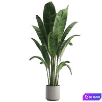 Indoor plant set 08