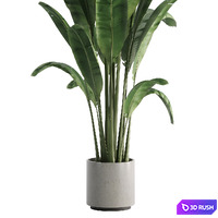 thumb image
