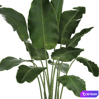 thumb image