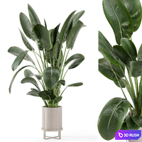 Indoor Plants in Ferm Living Bau Pot Large - Set 765