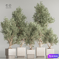 Indoor Plant Set 65