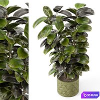 Indoor Plants in rusty Concrete Pot - Set 845