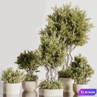 IndoorPlantSet36