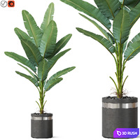 Plants collection 820