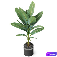 thumb image
