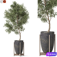 Plants collection 823