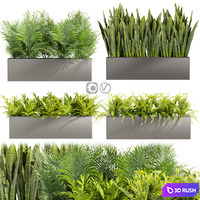 Collection plant vol 410 - indoor - sansveria - fern - monstera - palm