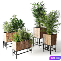 Indoor plants in wooden boxes on a stand