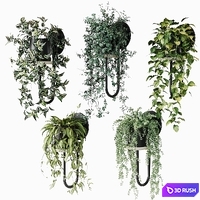 Ampelous plants in Miniforms CIGALES WALL wall planters