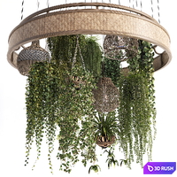 Plants with Wicker Pendants