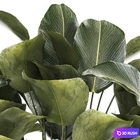 thumb image