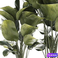 thumb image