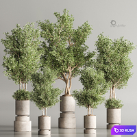 Indoor Plant Set 116