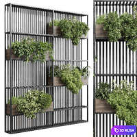 Stand metal shelf with wall plant - hanging plants balcony plants set Indoor plant 421
