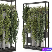 Indoor Hanging Plants in Metal Stand - Set 1698
