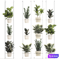 Plant collection 1429