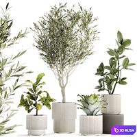 Plant collection 1434