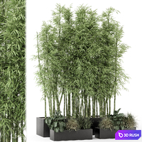 Indoor Plants Bamboo Set in rusty Concrete Pots - Set 1894