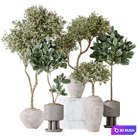 Elastica Abidjan Melany and Mission Olive Tree Vase 18