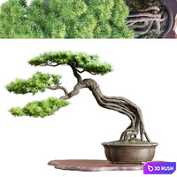 Bonsai 04 | PBR | Midpoly | HQ
