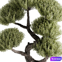 thumb image