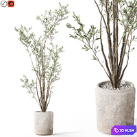 Plants collection 1053