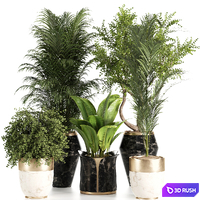Indoorplants in stone pot-set103