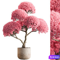 Indoor Plant 662 - Tree in Pot
