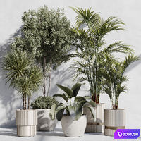 Indoor Plant Set 89