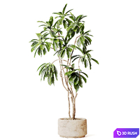 thumb image