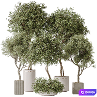 Indoor plants set 106 Olive Artificial Olivo Olea Tree and Mission Kalamata Leccino Arbequina