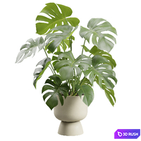 Monstera Deliciosa Beige Planter