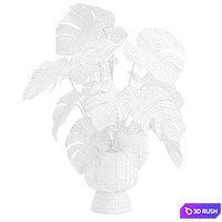 thumb image
