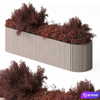 Indoor Plant 774 - Plant Box