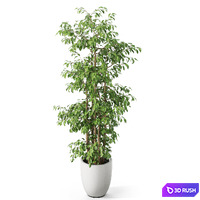 thumb image