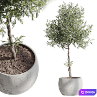 Indoor Plant Set 94