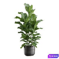 thumb image