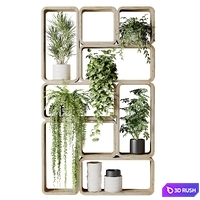 Houseplants in a rack made of rectangles