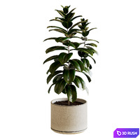 thumb image