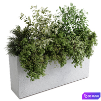 Office plant - concrete box plants on stand - set indoor plant 588