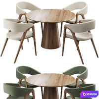 Dining chair and table217