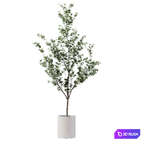 thumb image