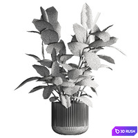 thumb image