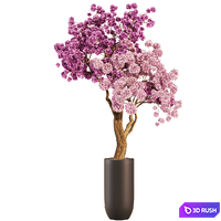 Indoor plant flower set 08