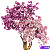 thumb image