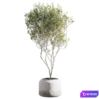 thumb image