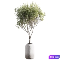 thumb image