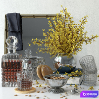 Forsythia decorative set
